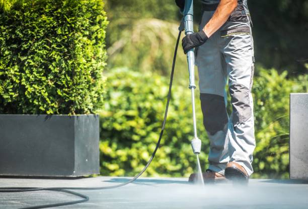 Best Spring Cleaning  in Fate, TX