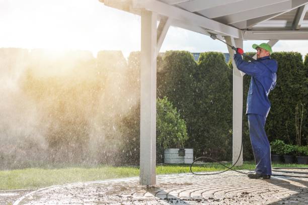Best Sidewalk and Walkway Cleaning  in Fate, TX
