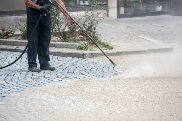 Best Dumpster Area Cleaning  in Fate, TX