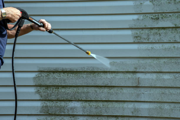 Best Warehouse Cleaning  in Fate, TX