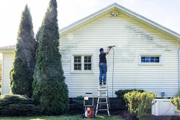 Best Fence Cleaning  in Fate, TX