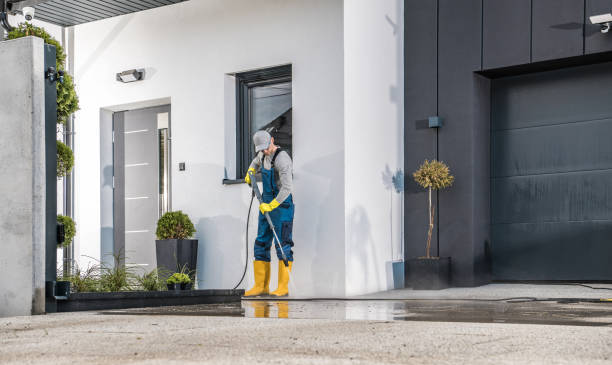 Best Solar Panel Cleaning  in Fate, TX